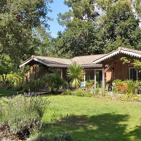 Villa Titoune, Le Charme Du Coeur De Bassin, A 2 Familles Ou Entre Amis